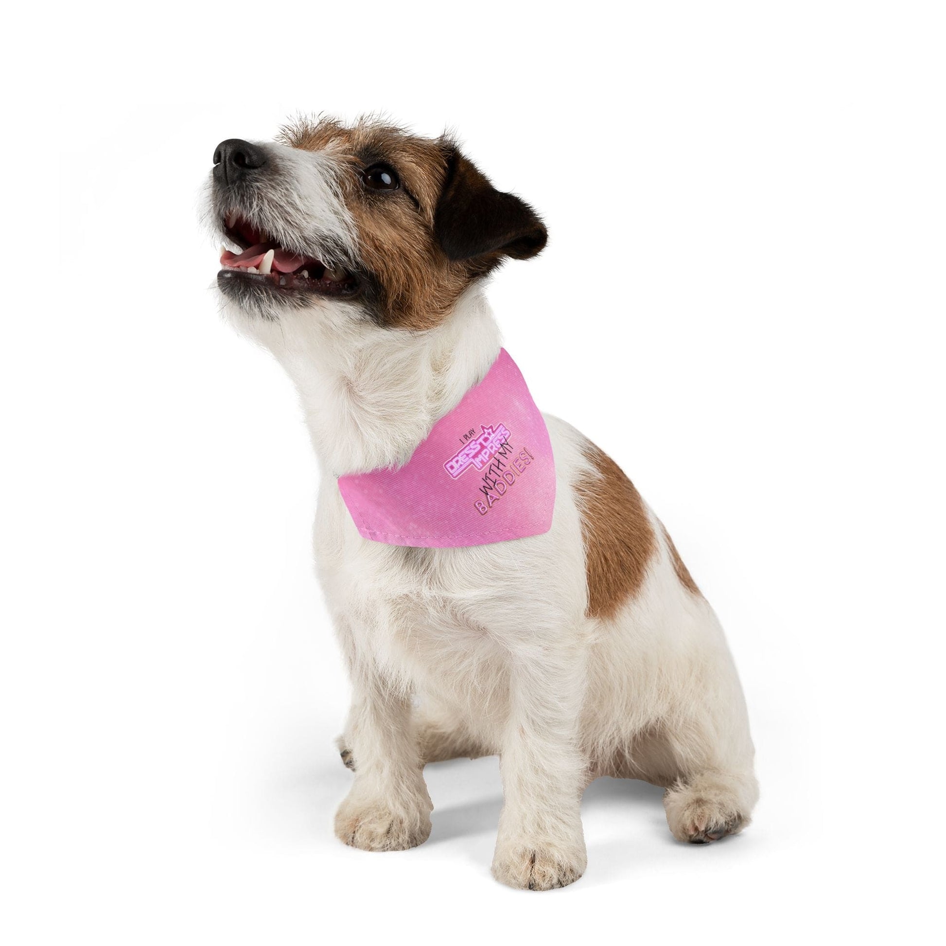 Printify Pets S I play Dress to Impress with my BADDIES DTI Dress to Impress Roblox Fashion Game Dog Cat Pet Bandana Collar